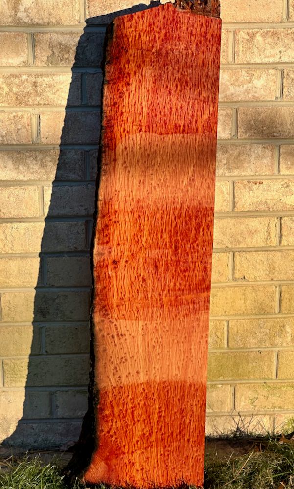 Stacks Image 7477
