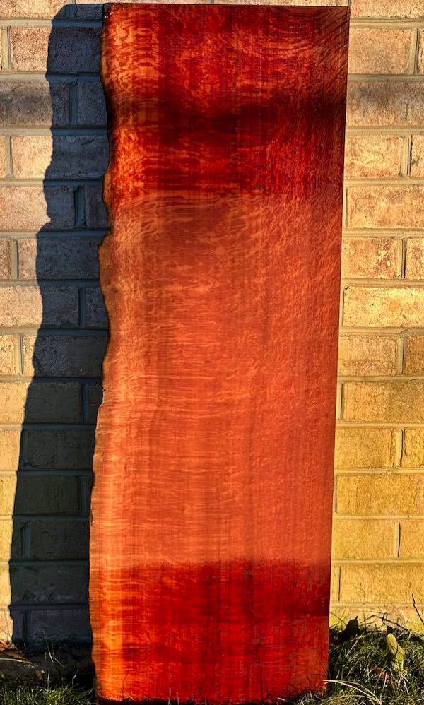 Stacks Image 7520