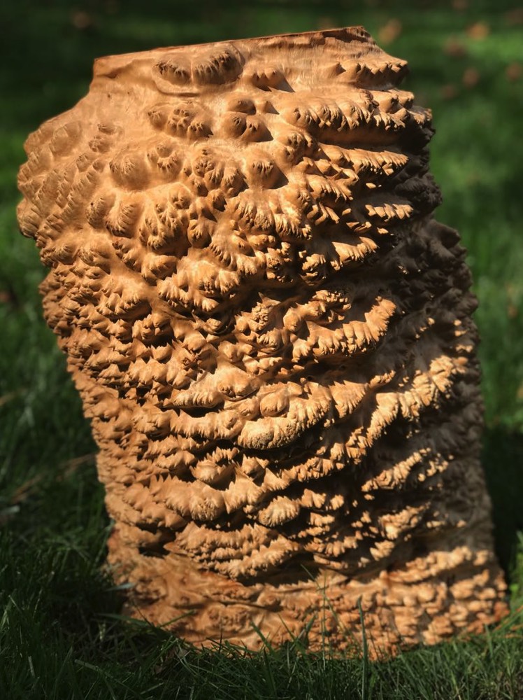 Stacks Image 8055