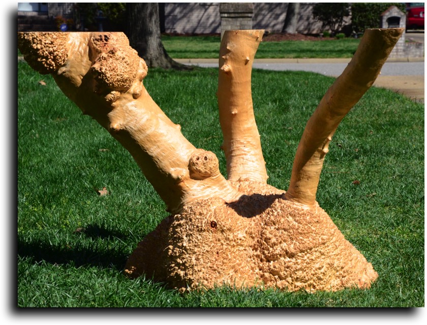 AustralianBurls.com - Table Bases © 2018 Jim Syvertsen