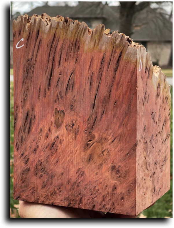 Stacks Image 8519