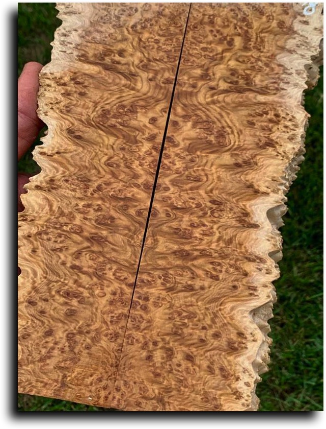 AustralianBurls.com - Scales