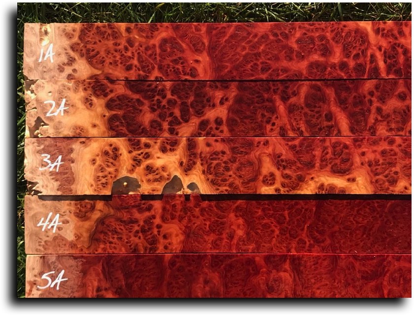 AustralianBurls.com - Pool Cue Blanks (Red Morrel Burl) © 2018 Jim Syvertsen