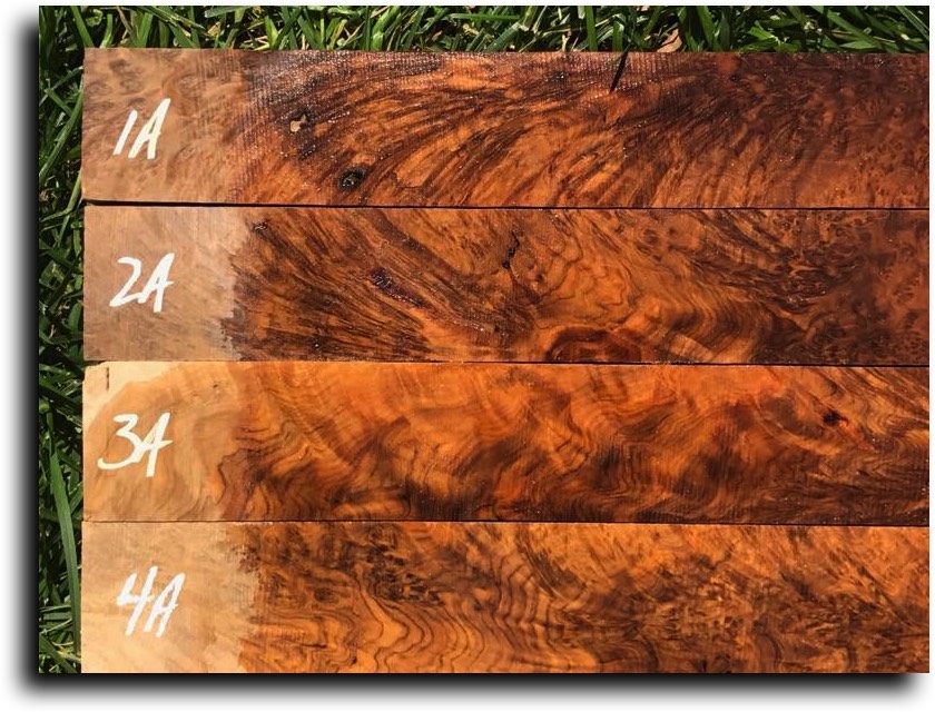 AustralianBurls.com - Pool Cue Blanks (Snap & Rattle Burl) © 2018 Jim Syvertsen