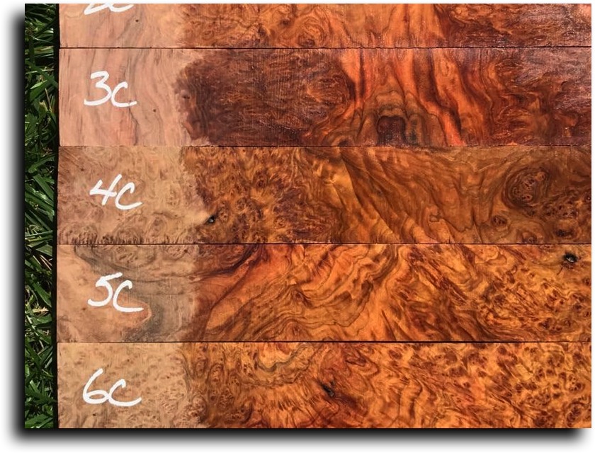 AustralianBurls.com - Pool Cue Blanks (York Gum Burl) © 2018 Jim Syvertsen