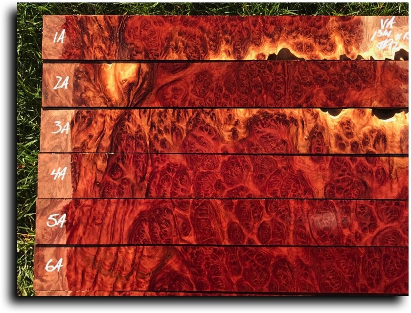 AustralianBurls.com - Pool Cue Blanks (Vasticola Burl) © 2018 Jim Syvertsen